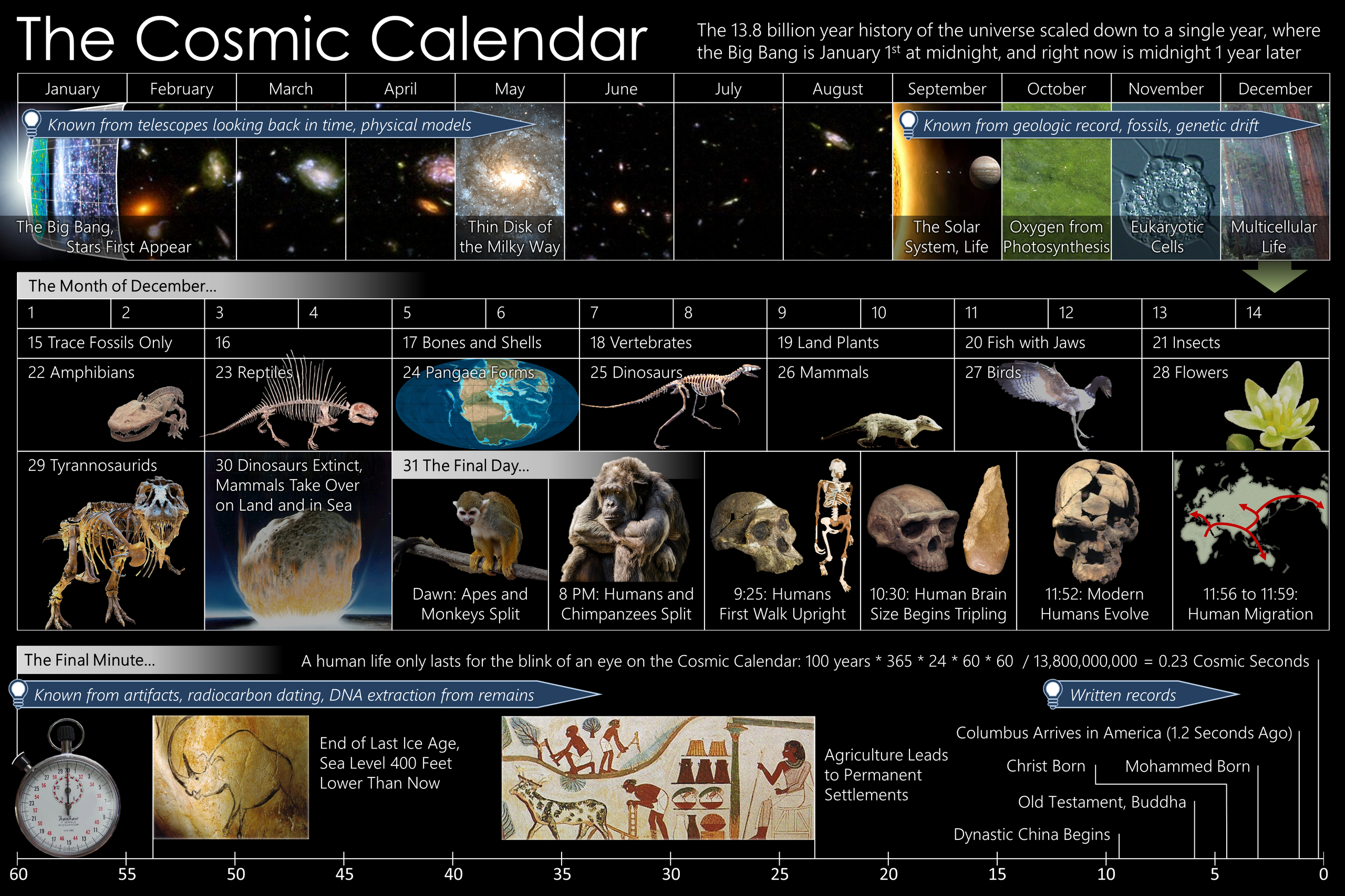 last-days-of-earth-life-in-7-billion-years-ad-new-scientist